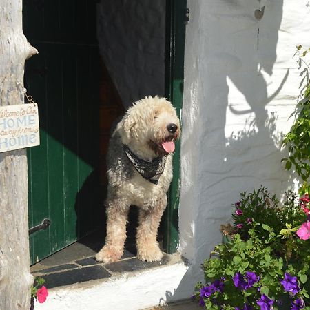 Lissyclearig Thatched Cottage Kenmare Kültér fotó