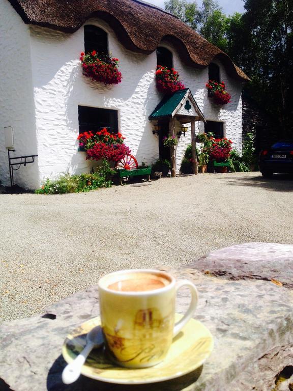 Lissyclearig Thatched Cottage Kenmare Kültér fotó