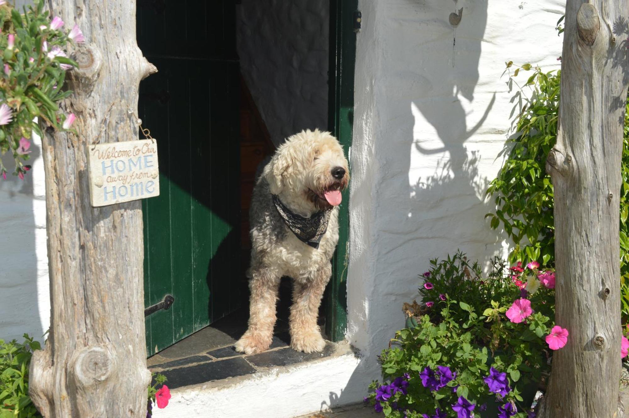 Lissyclearig Thatched Cottage Kenmare Kültér fotó